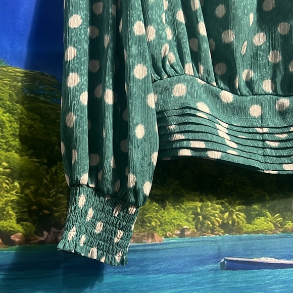 Heartloom Green and White polka Dot Blouse - Picture 2 of 7